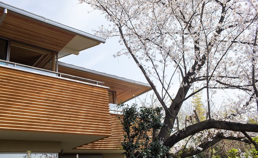 小校(こあぜ)下見板